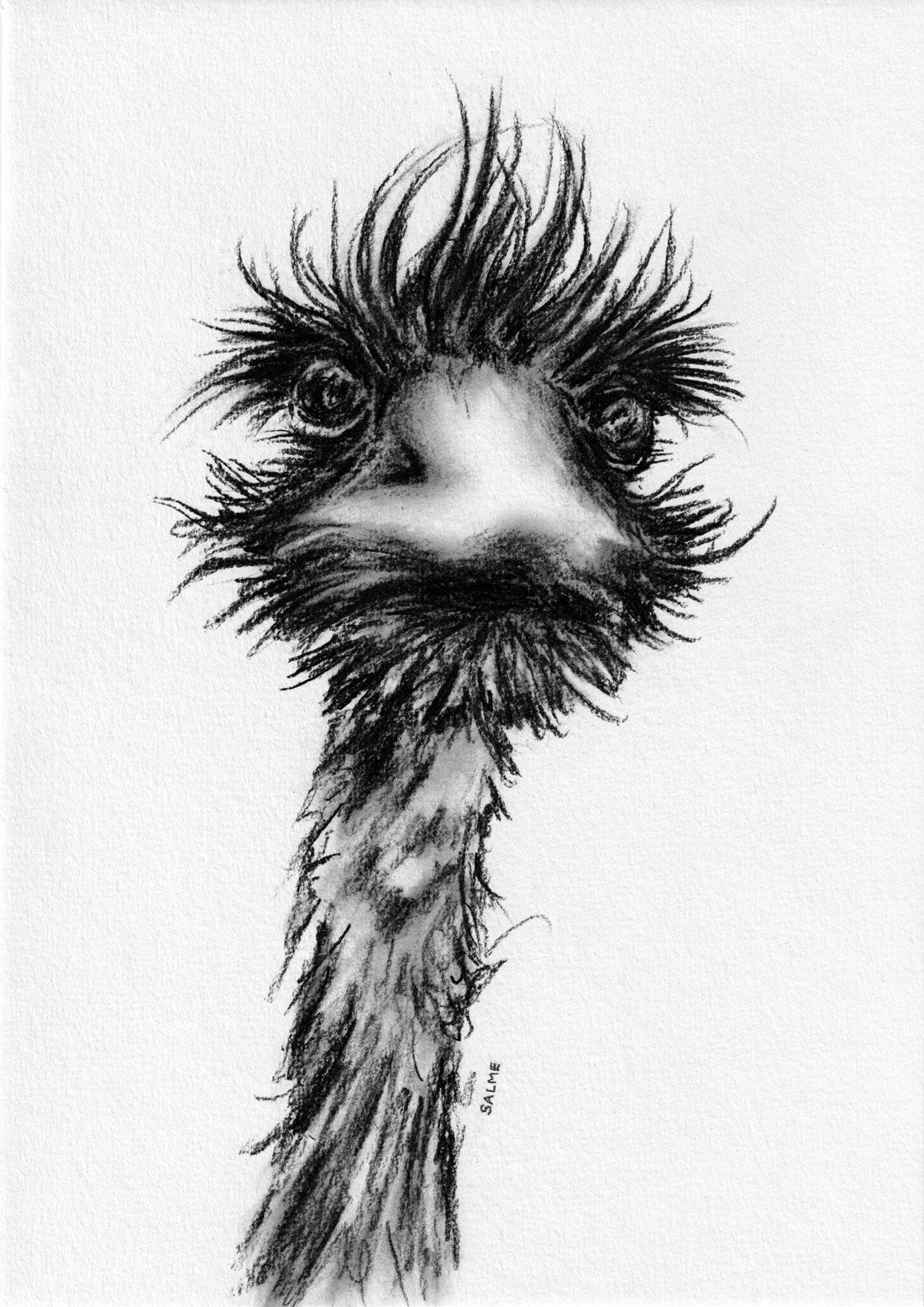 Angry Emu | Hand Drawn Original Artwork