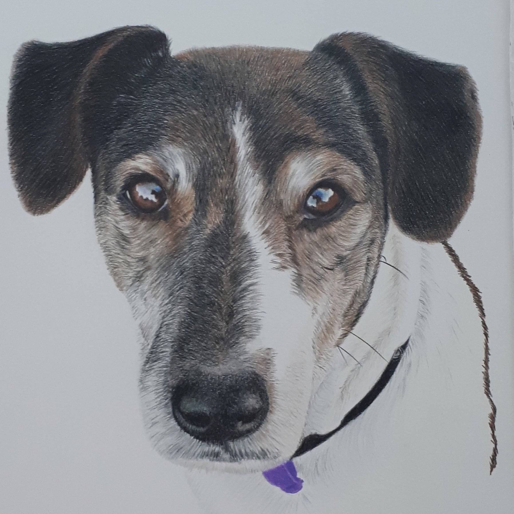 Pet Portrait Gift Certificate - Great Gift Idea