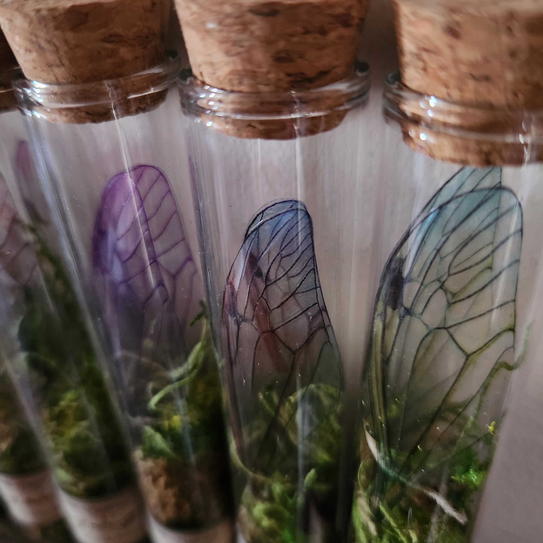 Faery Wings in Glass Tube Fairy Curio