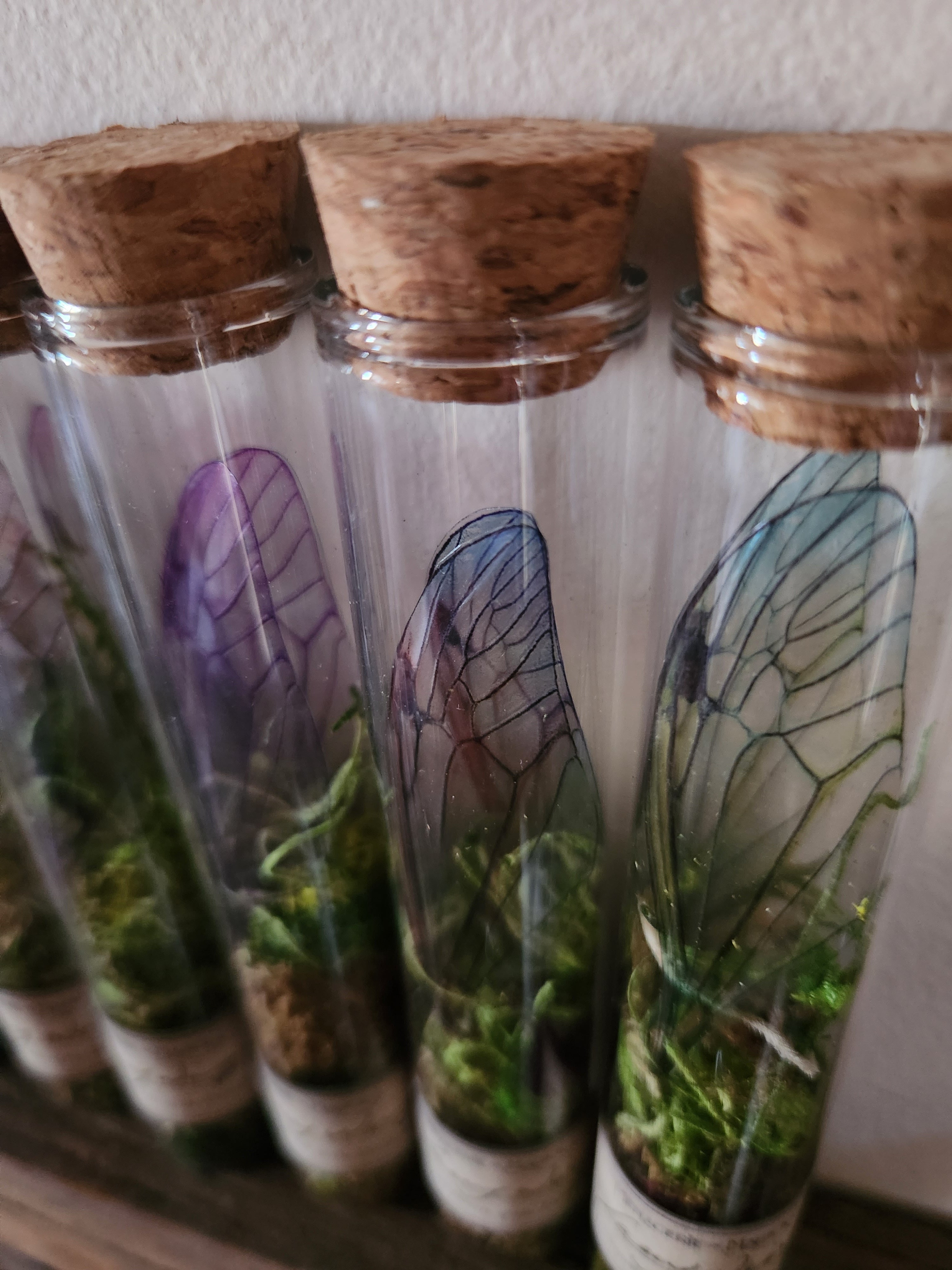 Faery Wings in Glass Tube Fairy Curio