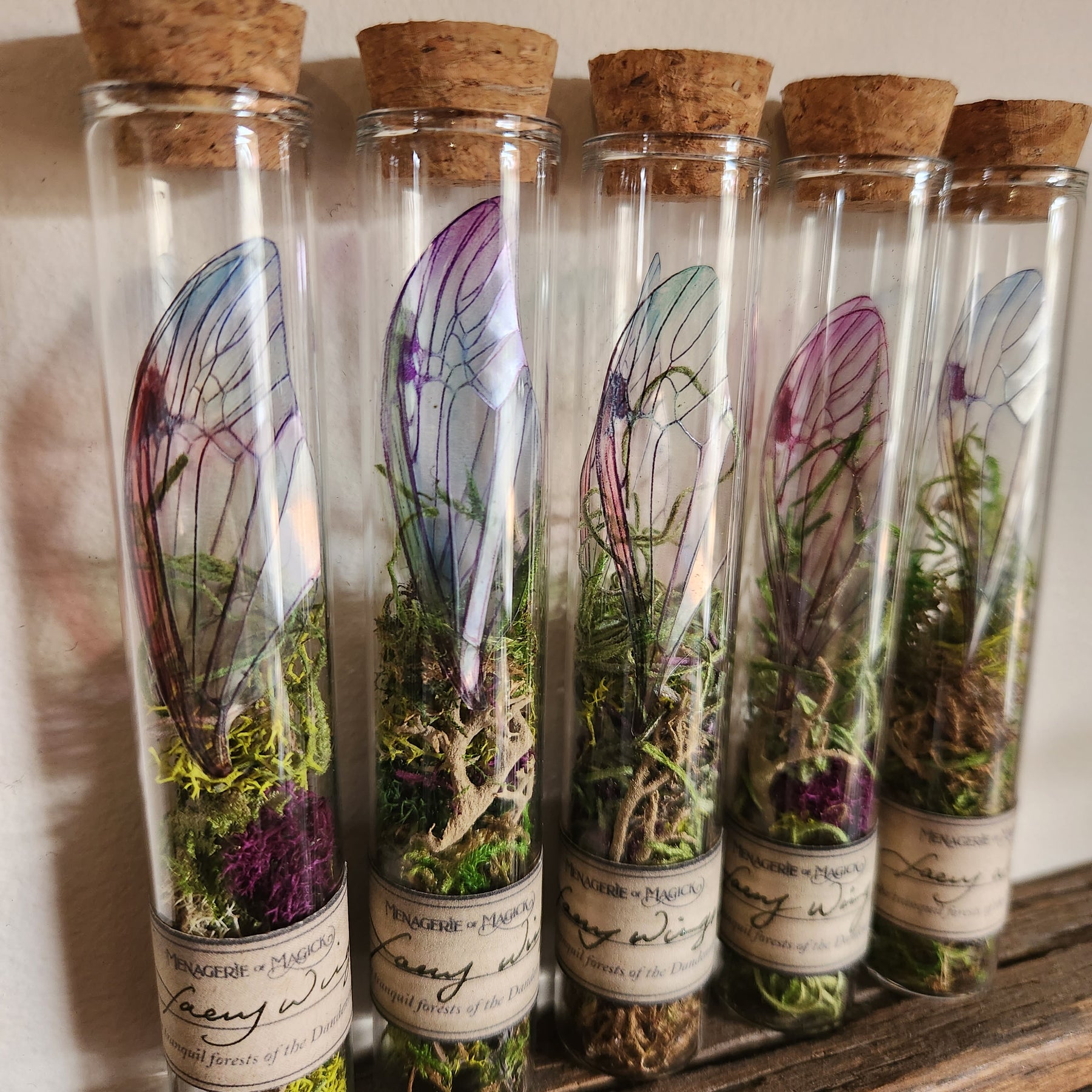 Faery Wings in Glass Tube Fairy Curio
