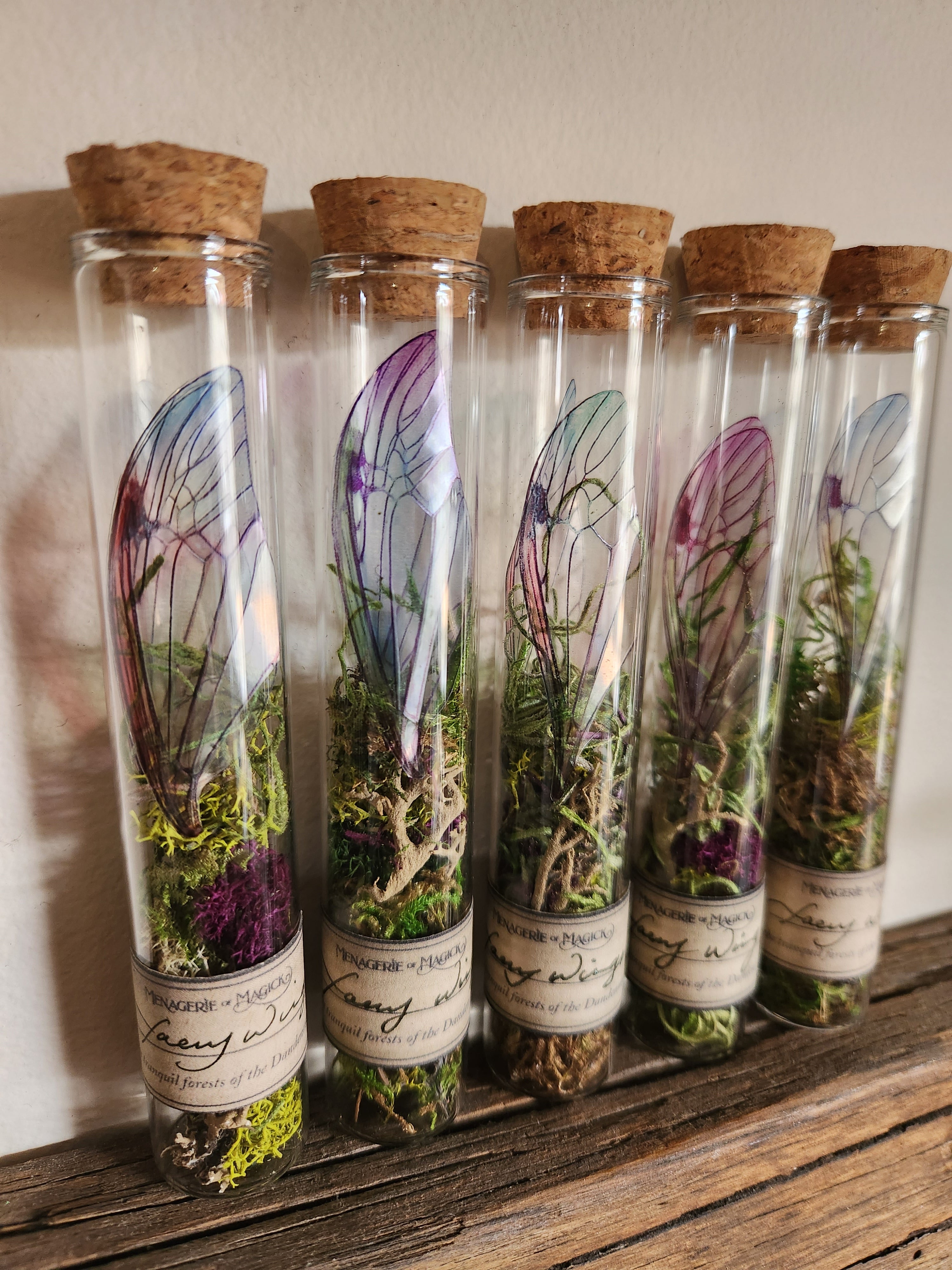 Faery Wings in Glass Tube Fairy Curio