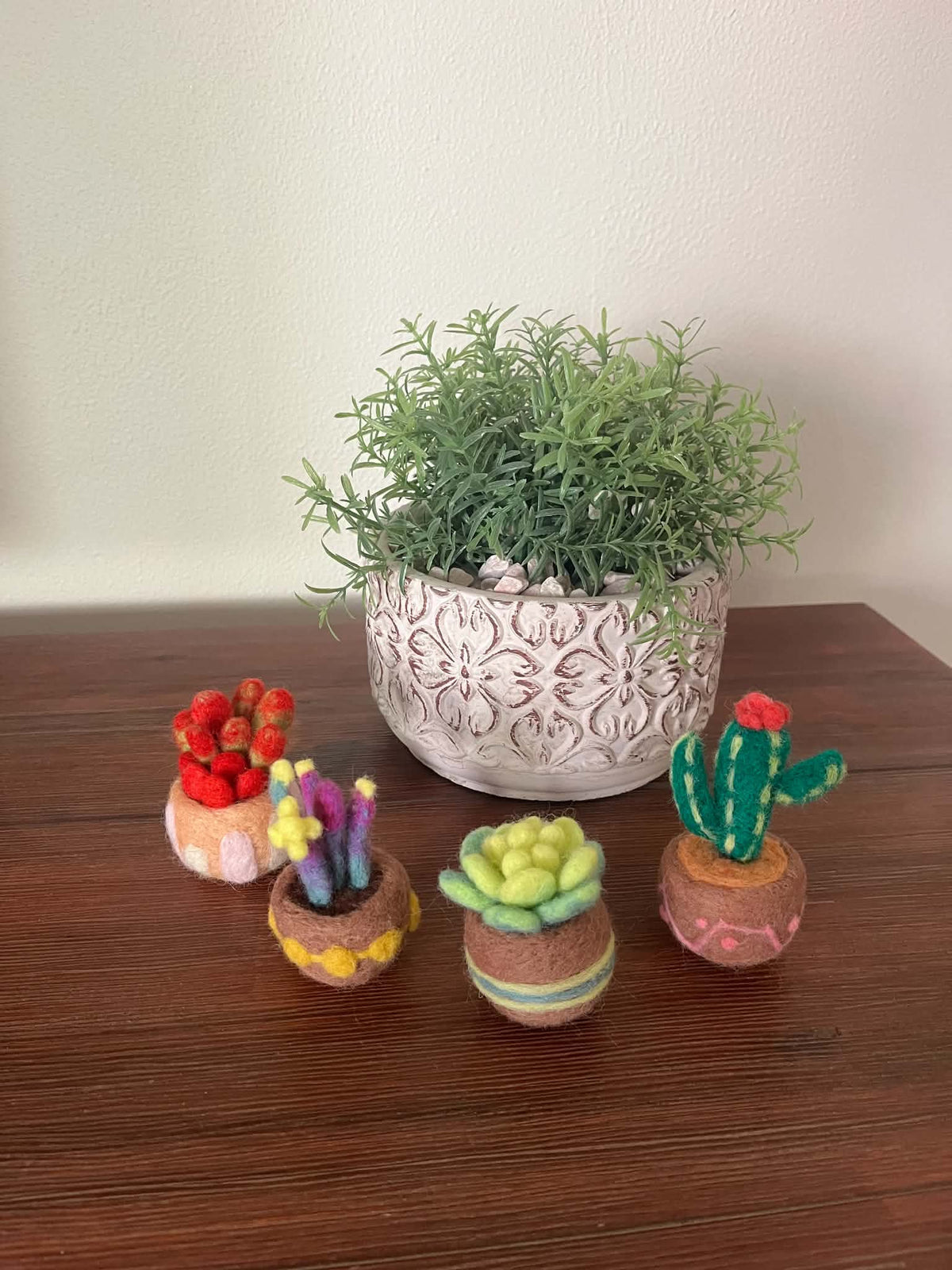 Needle felted succulent