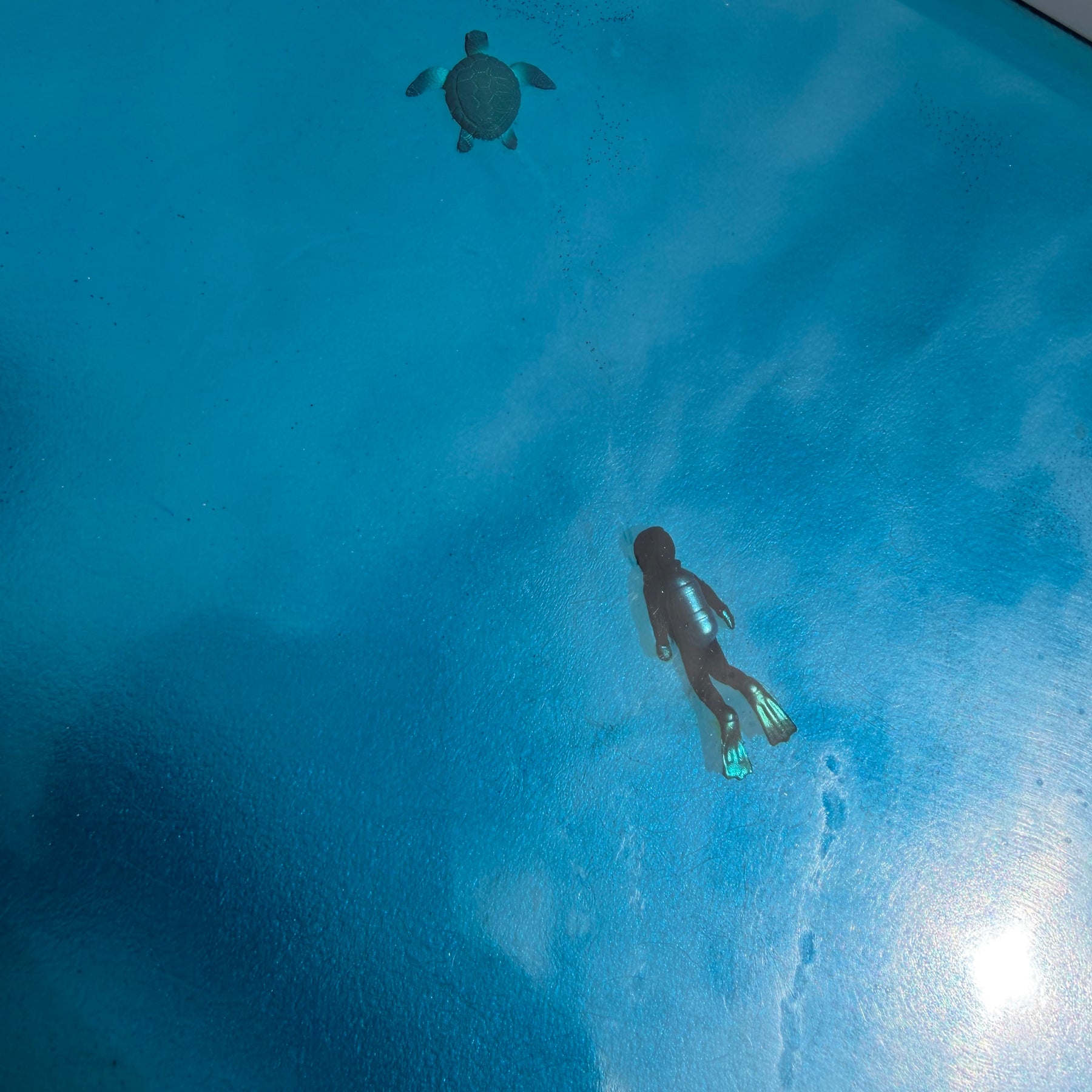 Just Keep Swimming - Wall Art