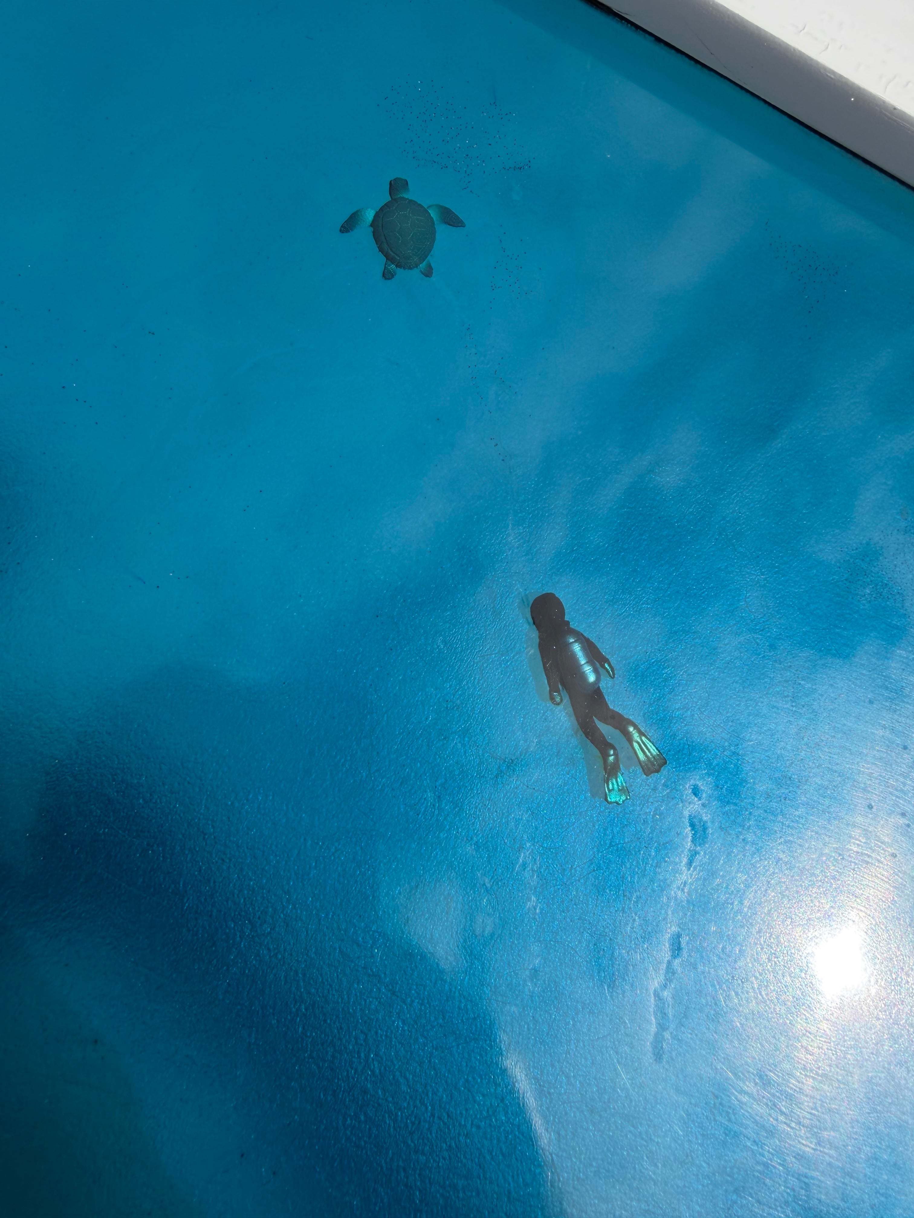 Just Keep Swimming - Wall Art