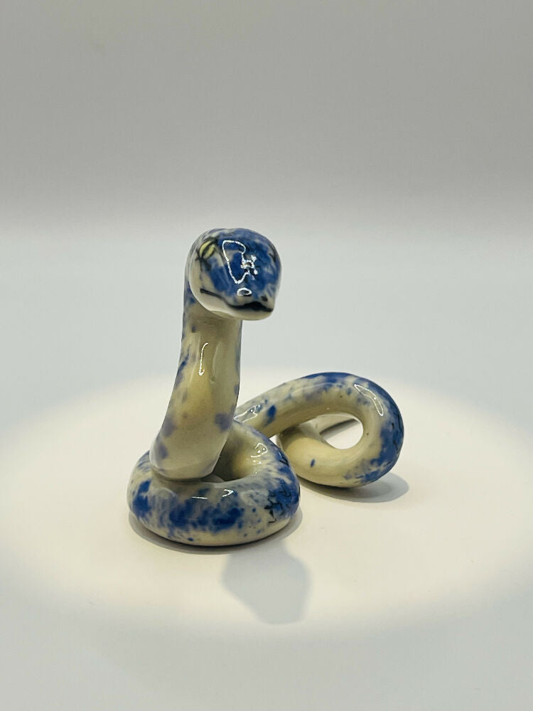 bs1