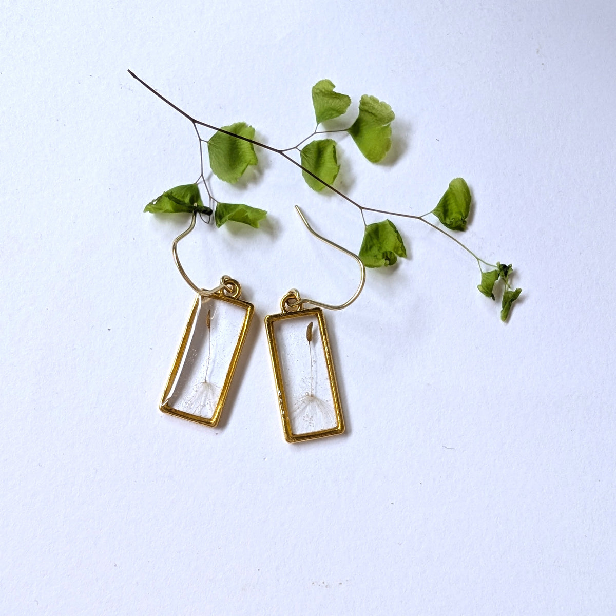 Real Dandelion Seed Rectangular Earrings