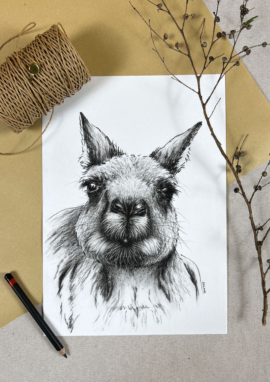 Curious Roo | Kangaroo | Hand Drawn Original Artwork