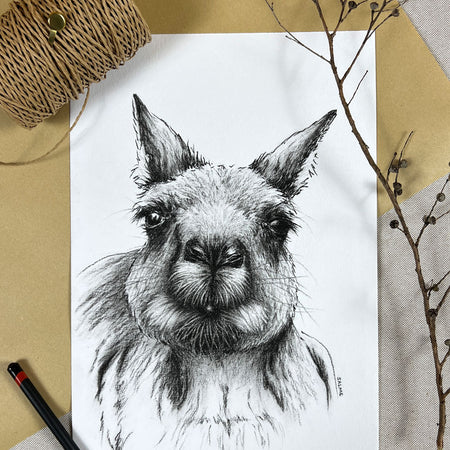 Curious Roo | Kangaroo | Hand Drawn Original Artwork