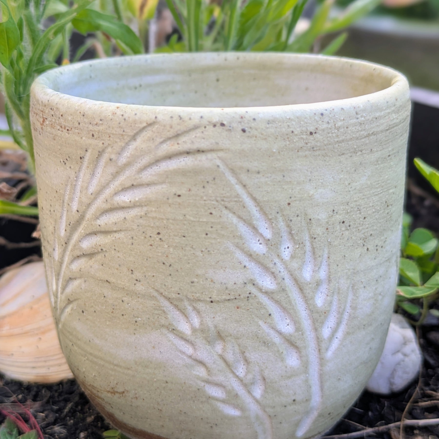 Wheat cup