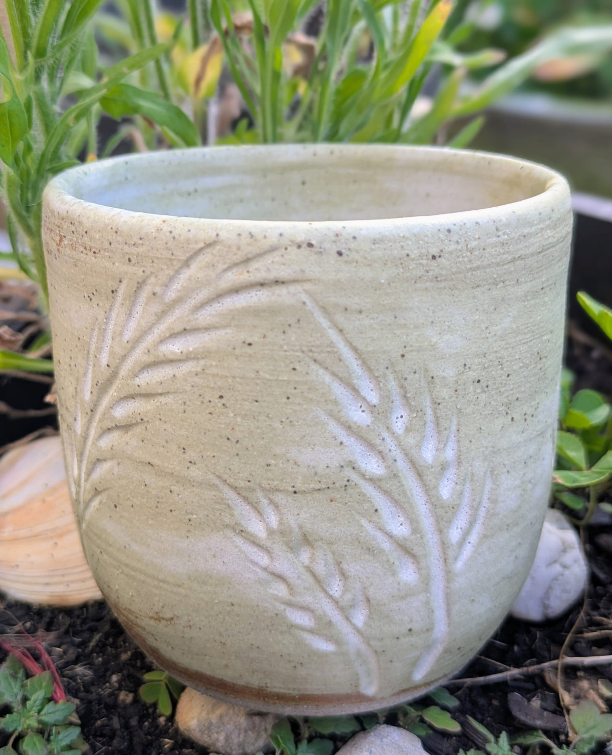 Wheat cup