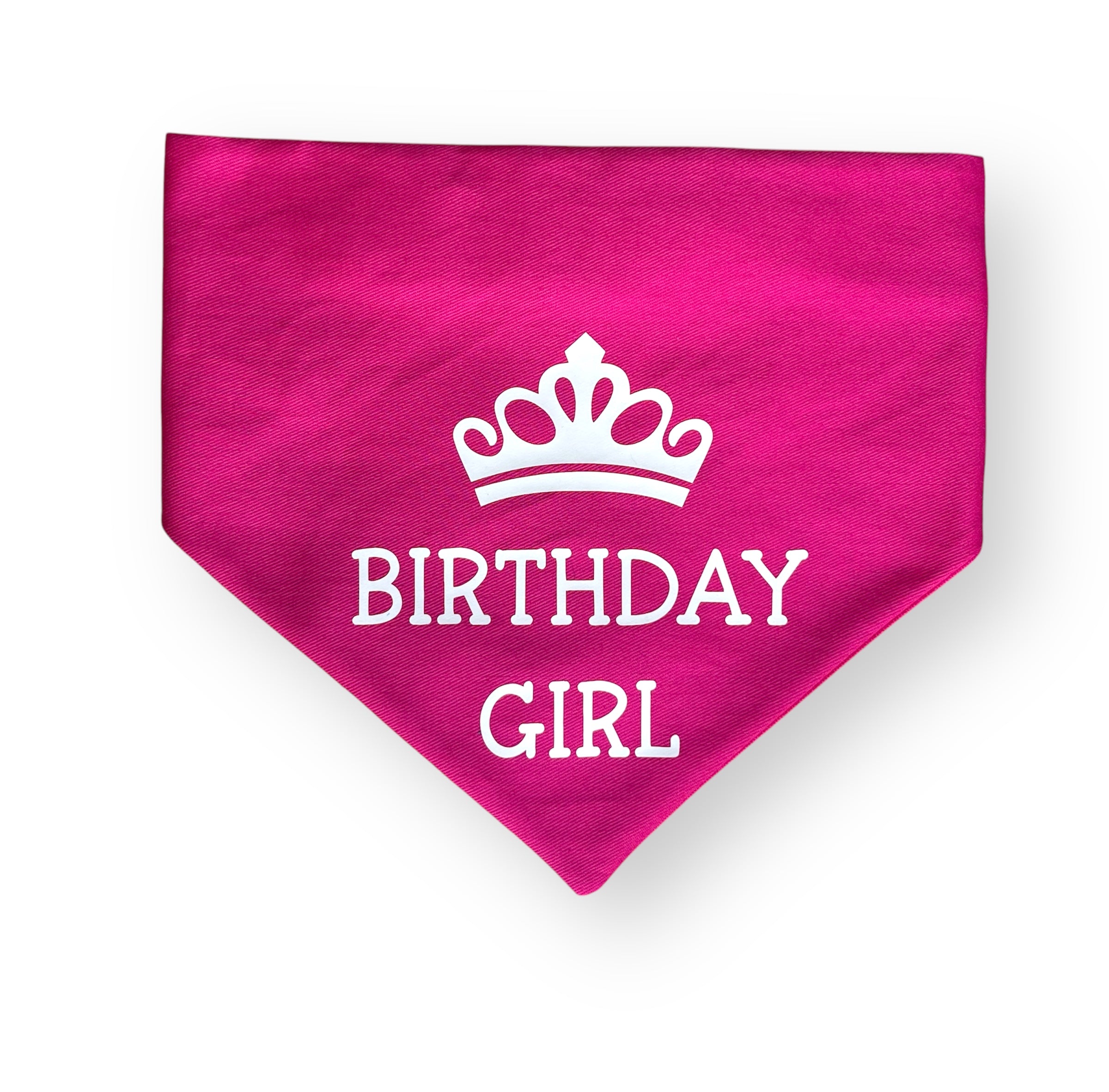 Dog Birthday - Dog Scrunchie Bandana