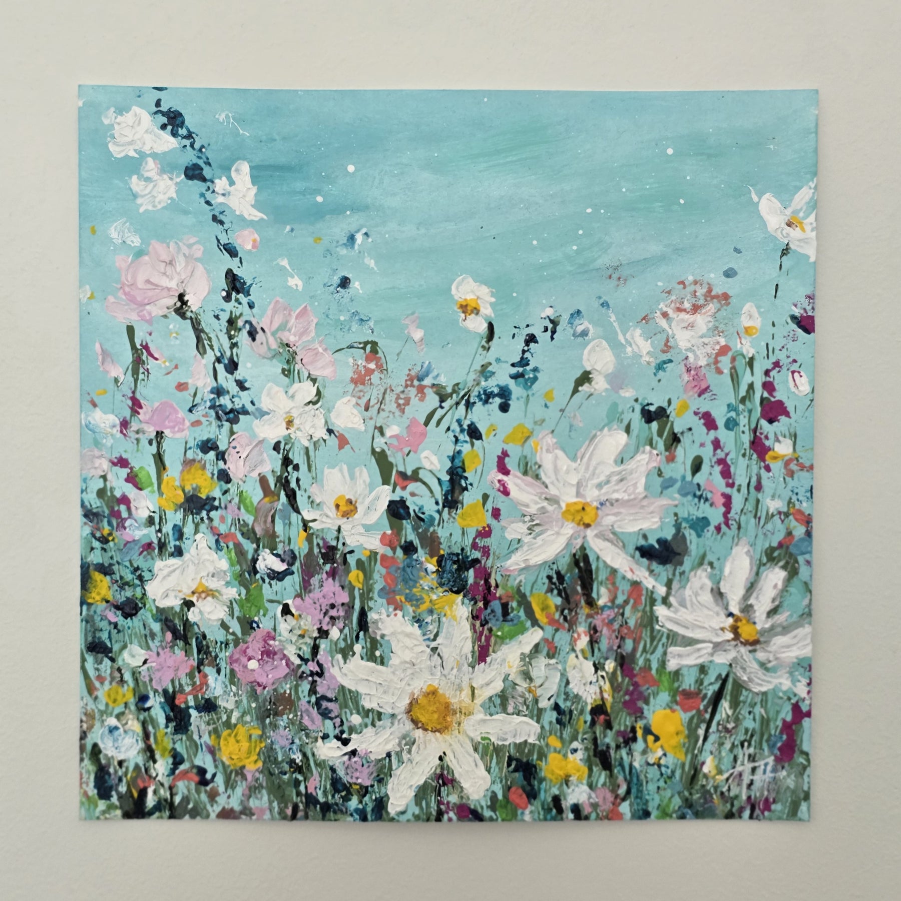 'Daisy Daydreams'