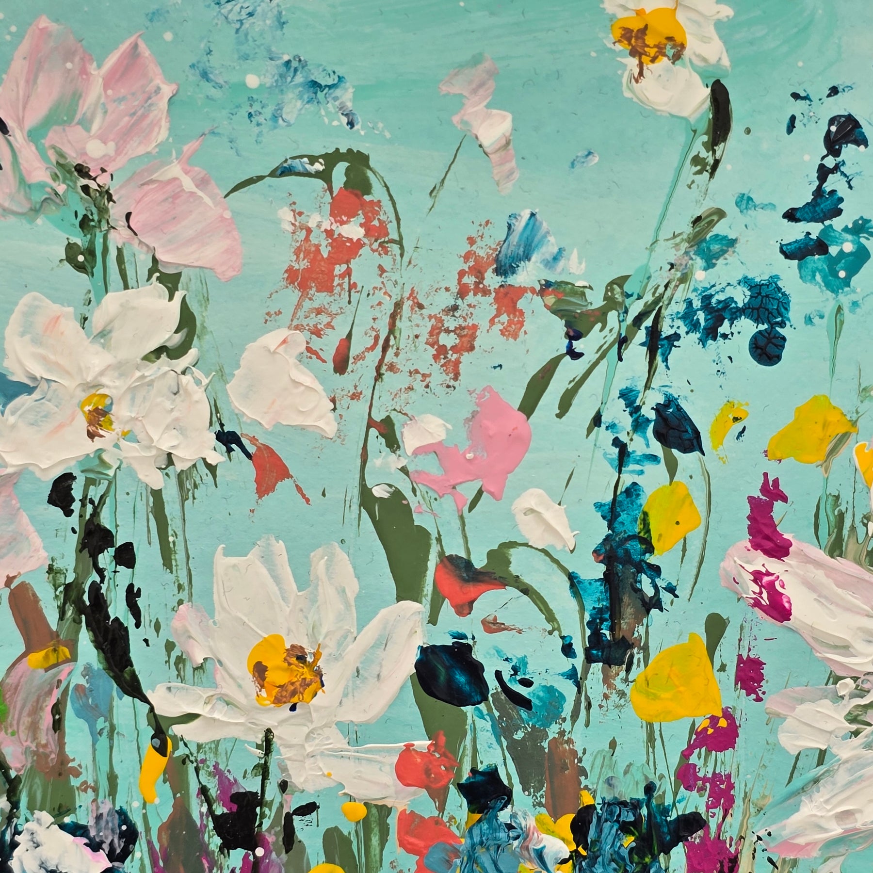 'Daisy Daydreams'