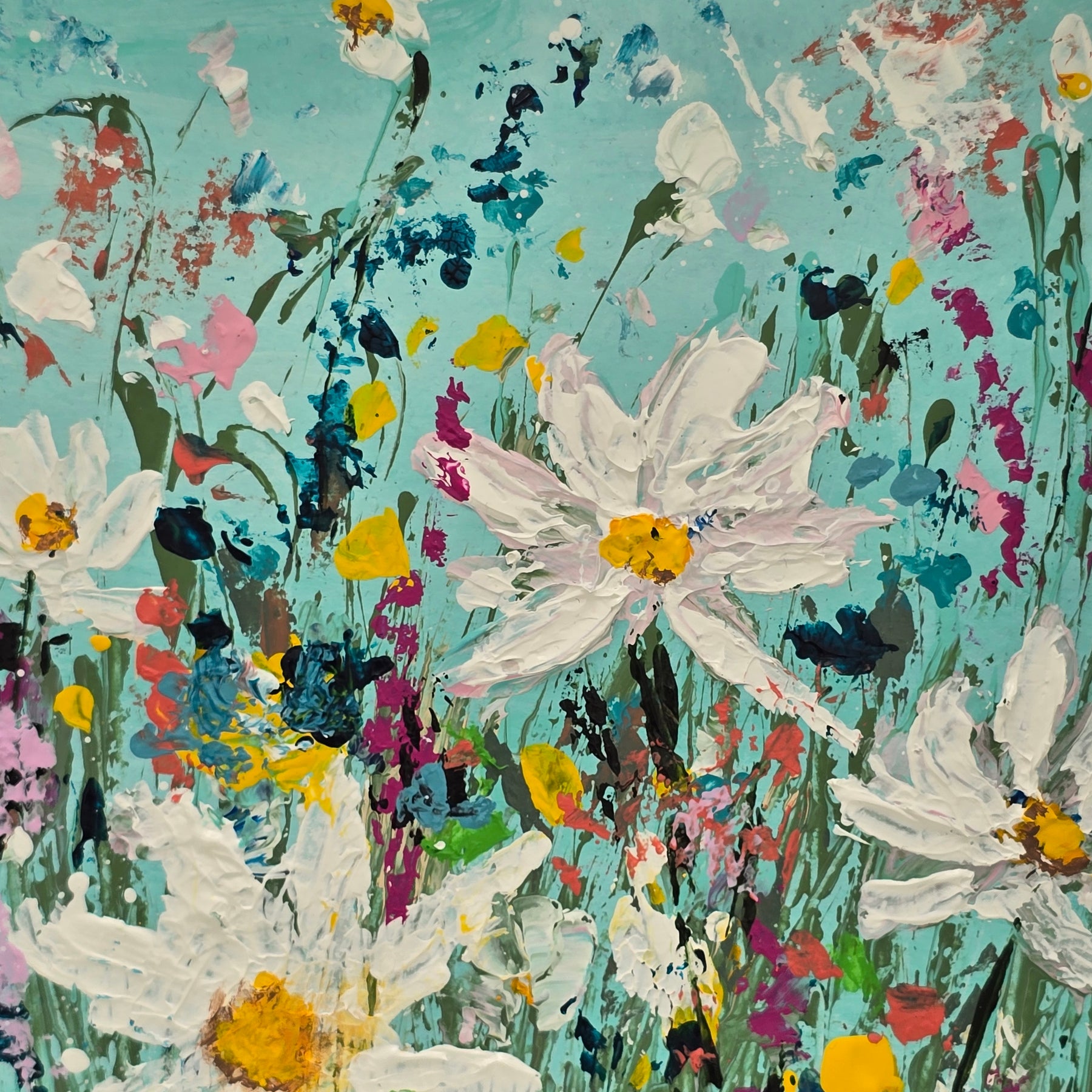 'Daisy Daydreams'