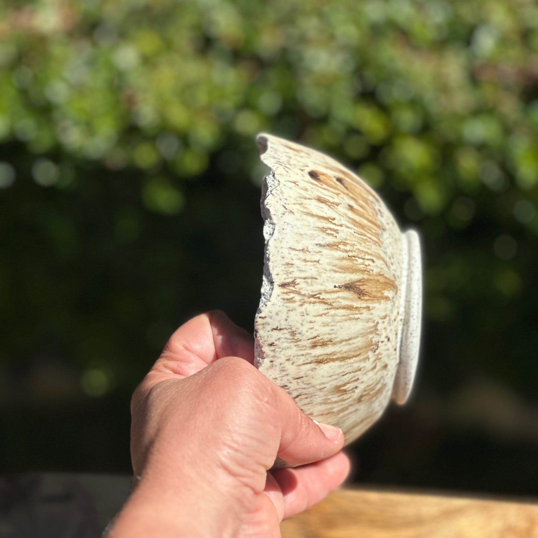 A Bowl - Bird’s Egg with Raw Edge