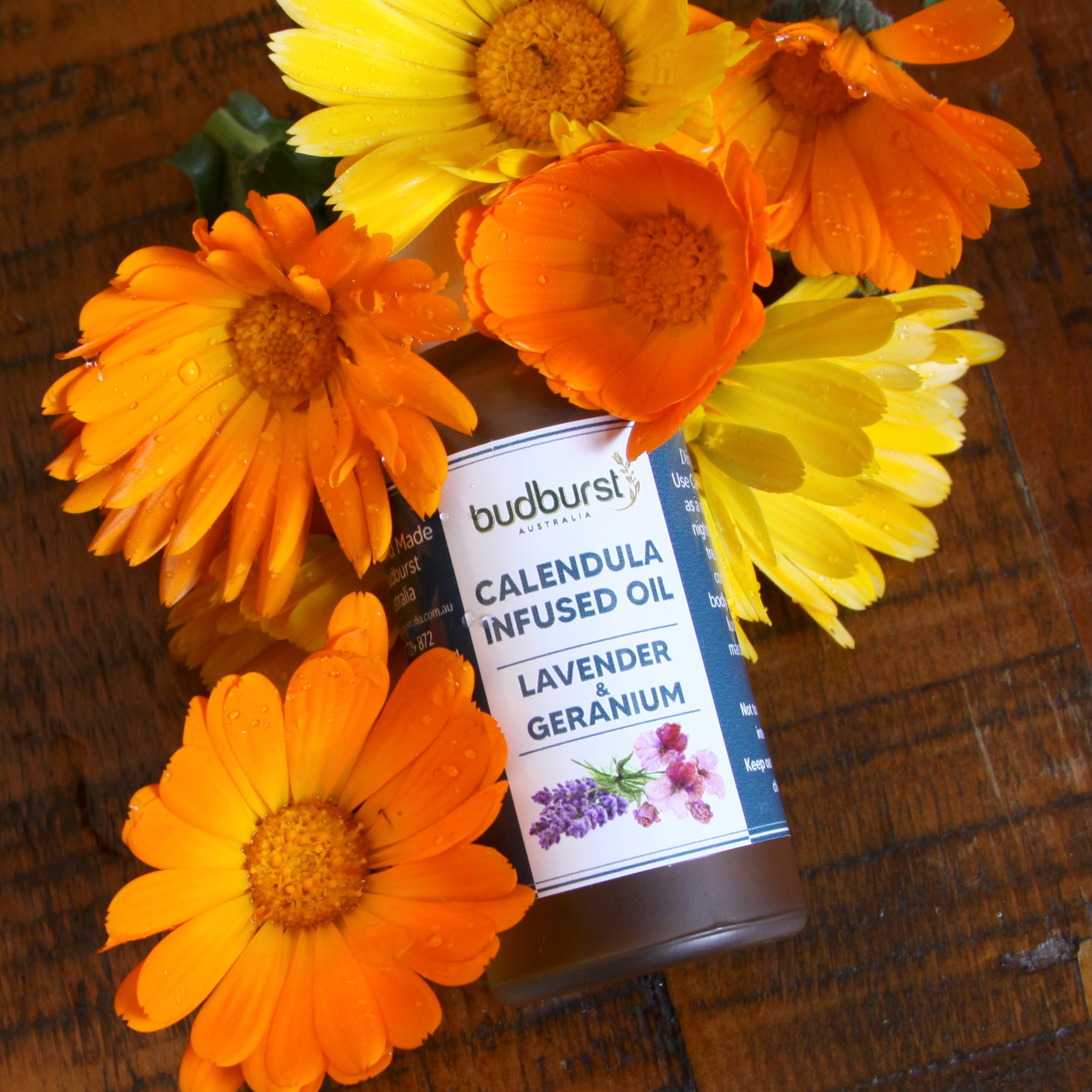 Calendula Infused Oil - Lavendar & Geranium
