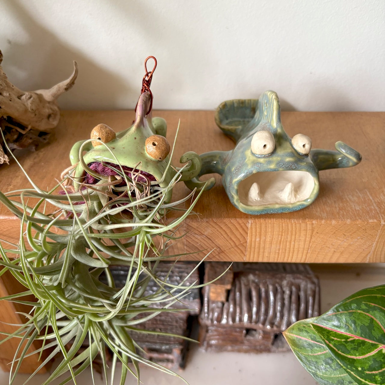 Air plant monster hanging holder