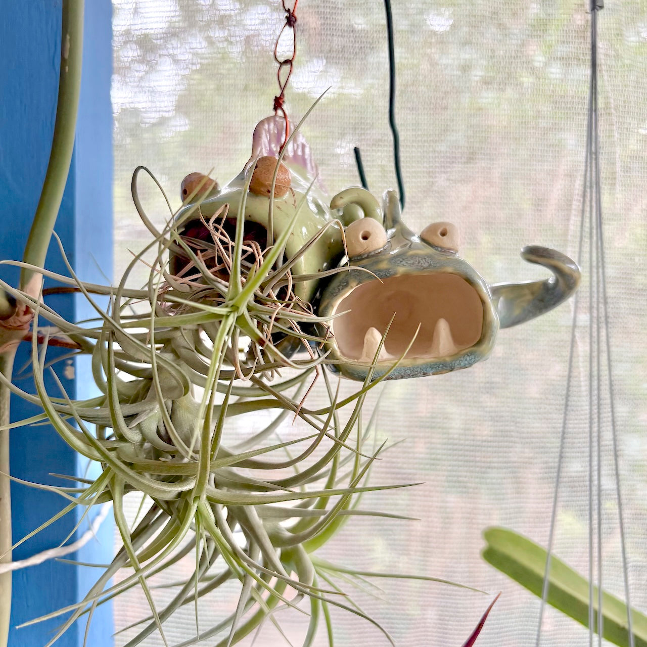 Air plant monster hanging holder