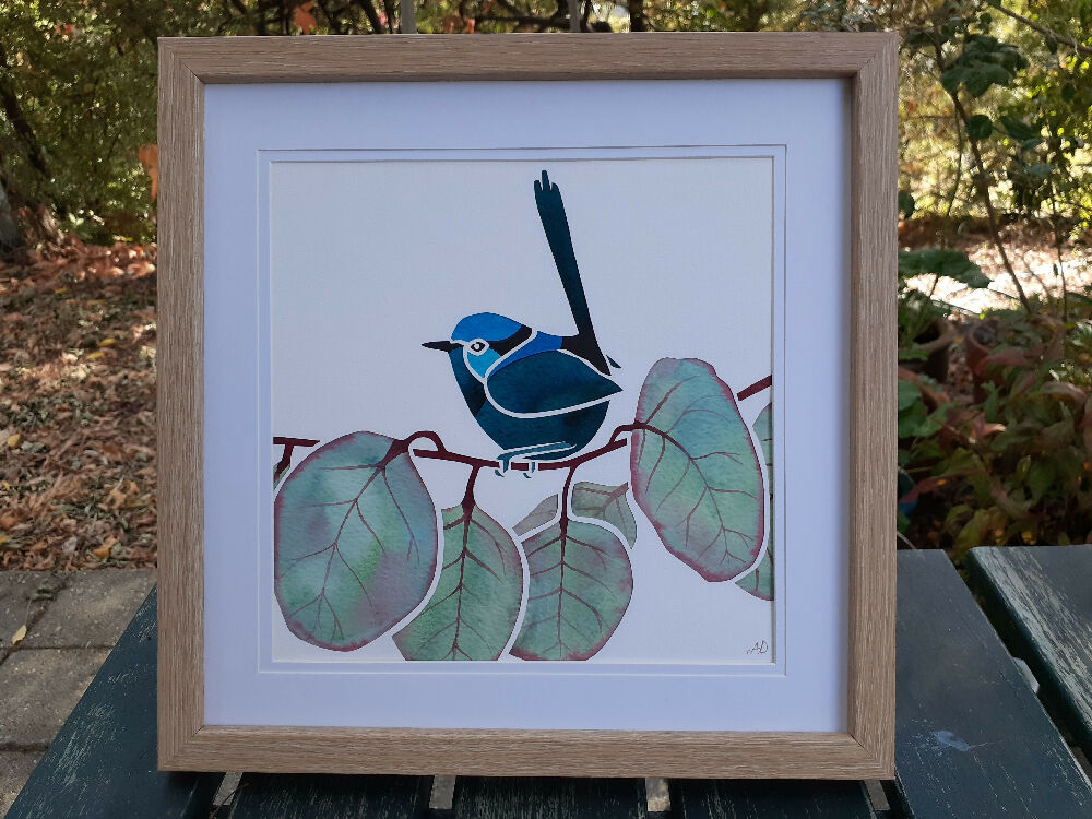 L Fairy Wren in eucalypt Lg