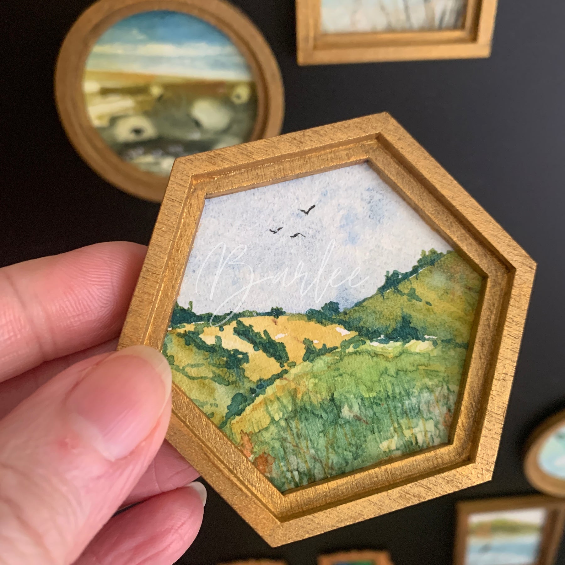 Large Hand Painted Fridge Magnet Set - 3 Framed Original Mini Paintings