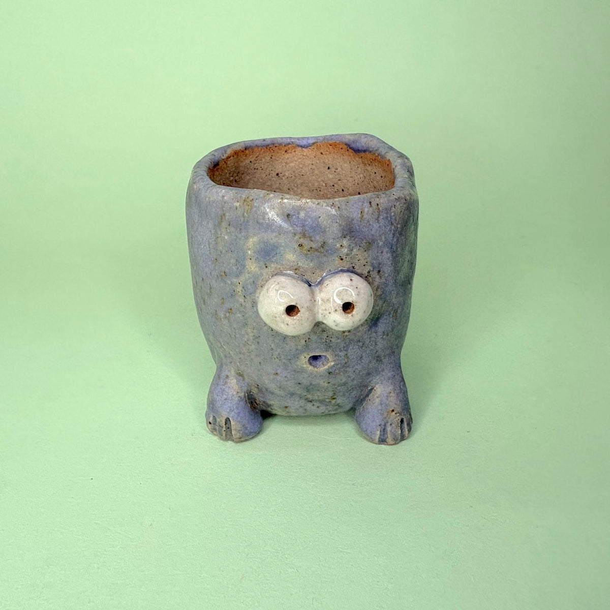 Ceramic tiny monster pot for cactus & succulent