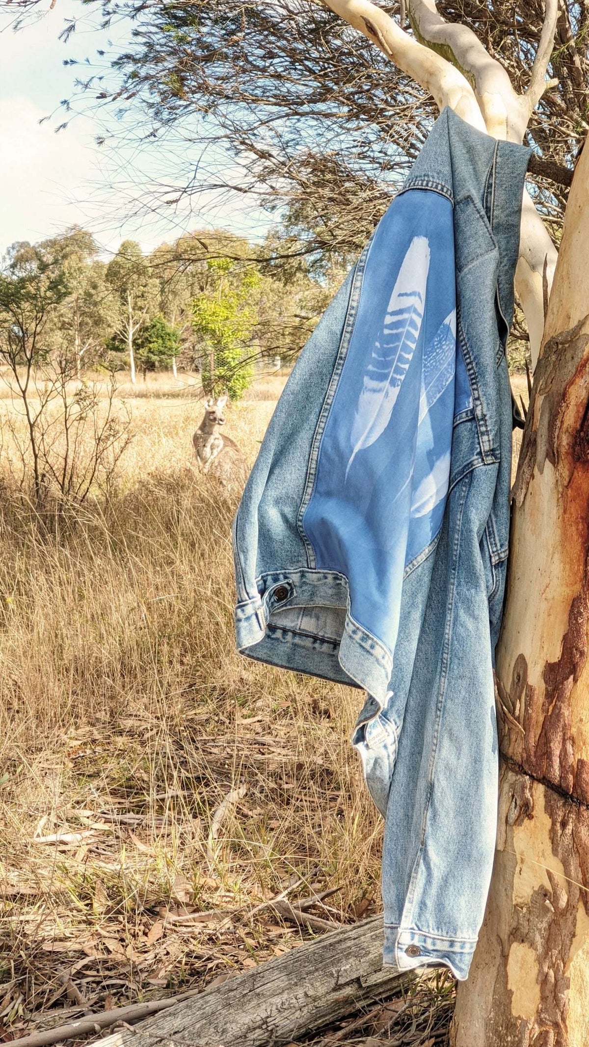 Vintage Levi's Denim Jacket, Black Cockatoo Feather Art