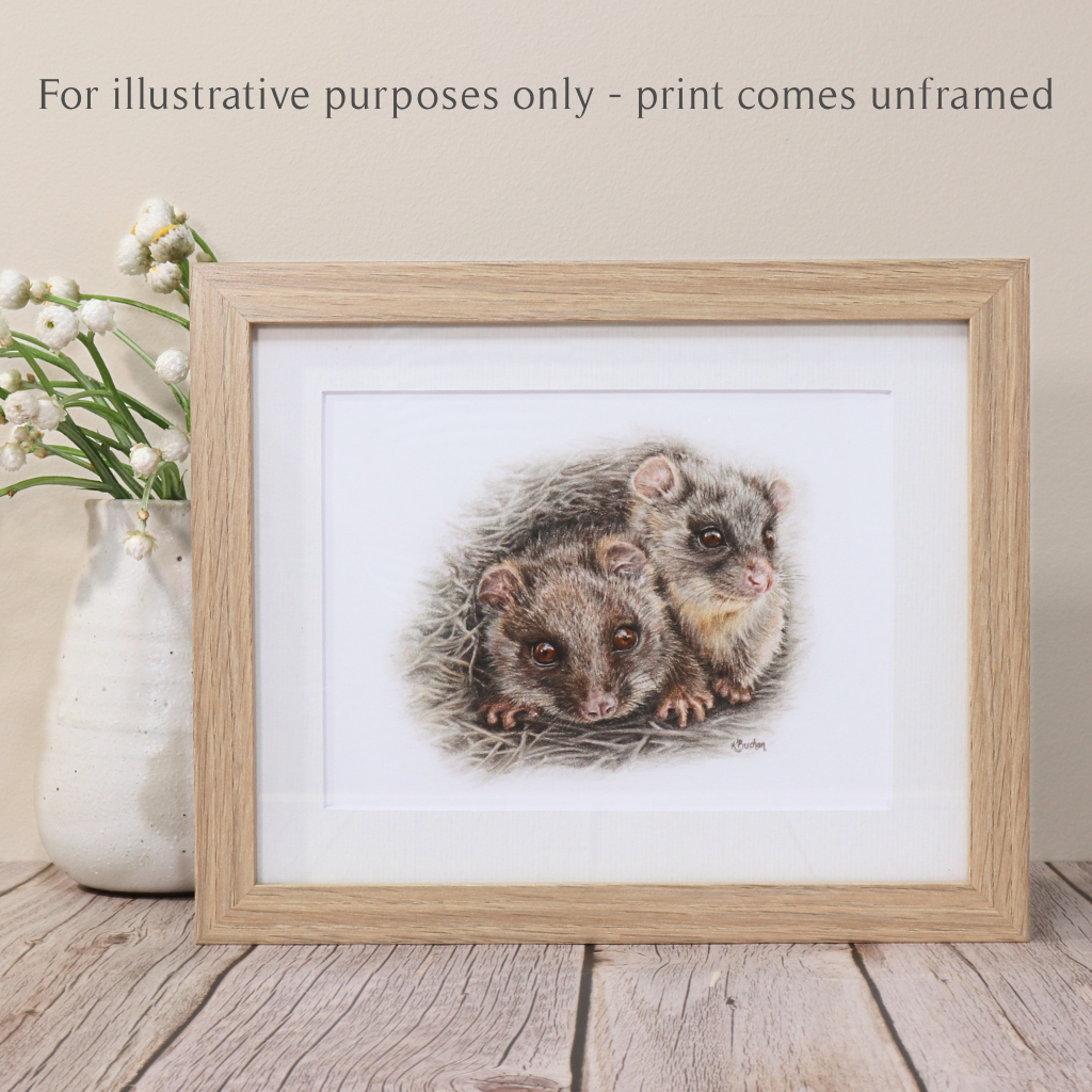 Ringtail Possums | Australian Wildlife Art Print