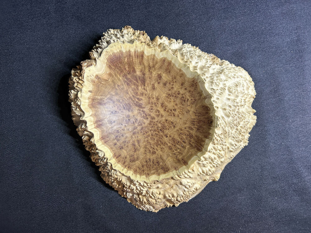 Australian Brown Mallee burl bowl