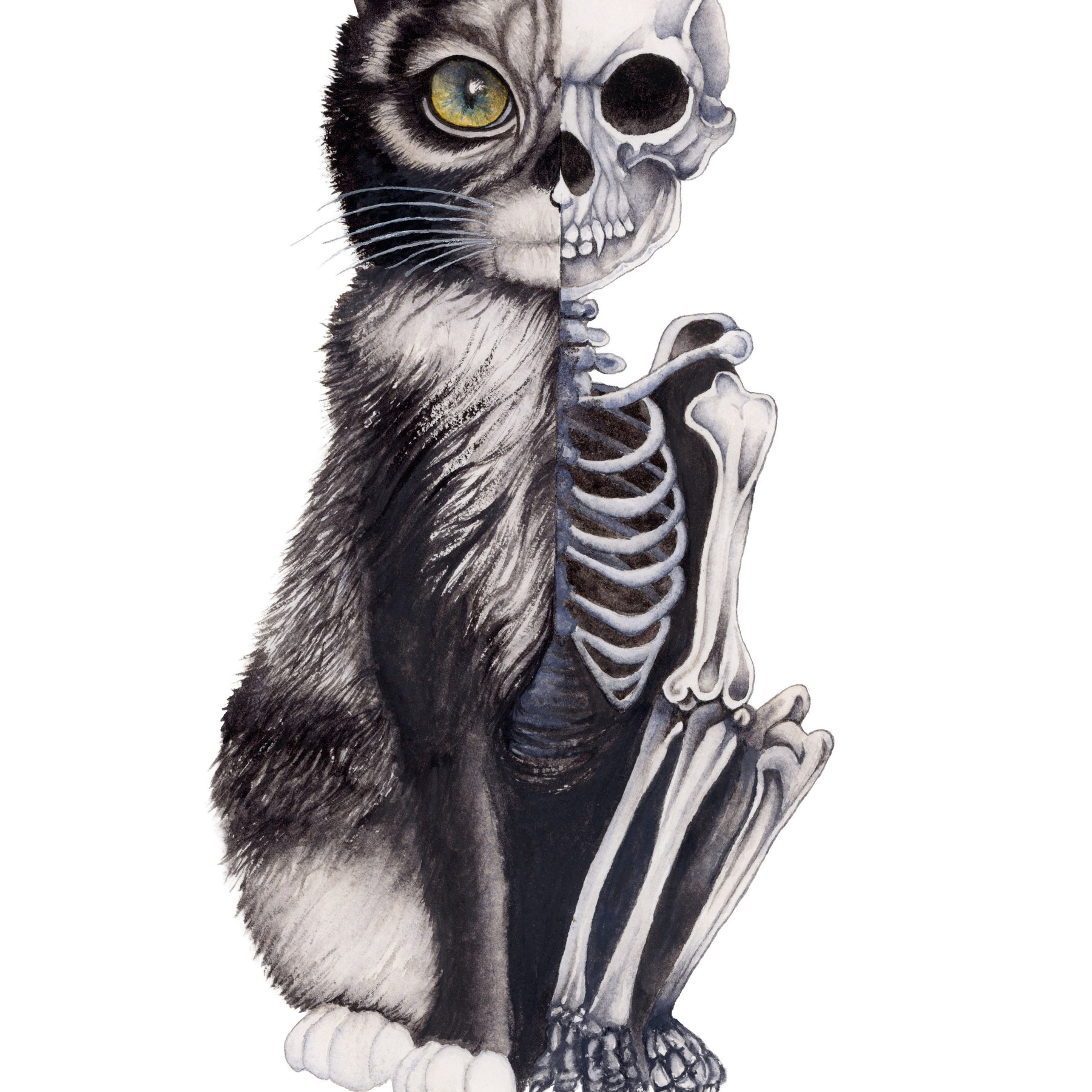BONE AND WHISKER ARCHIVAL PRINTS AND CARD - TANGLED ROSE ART