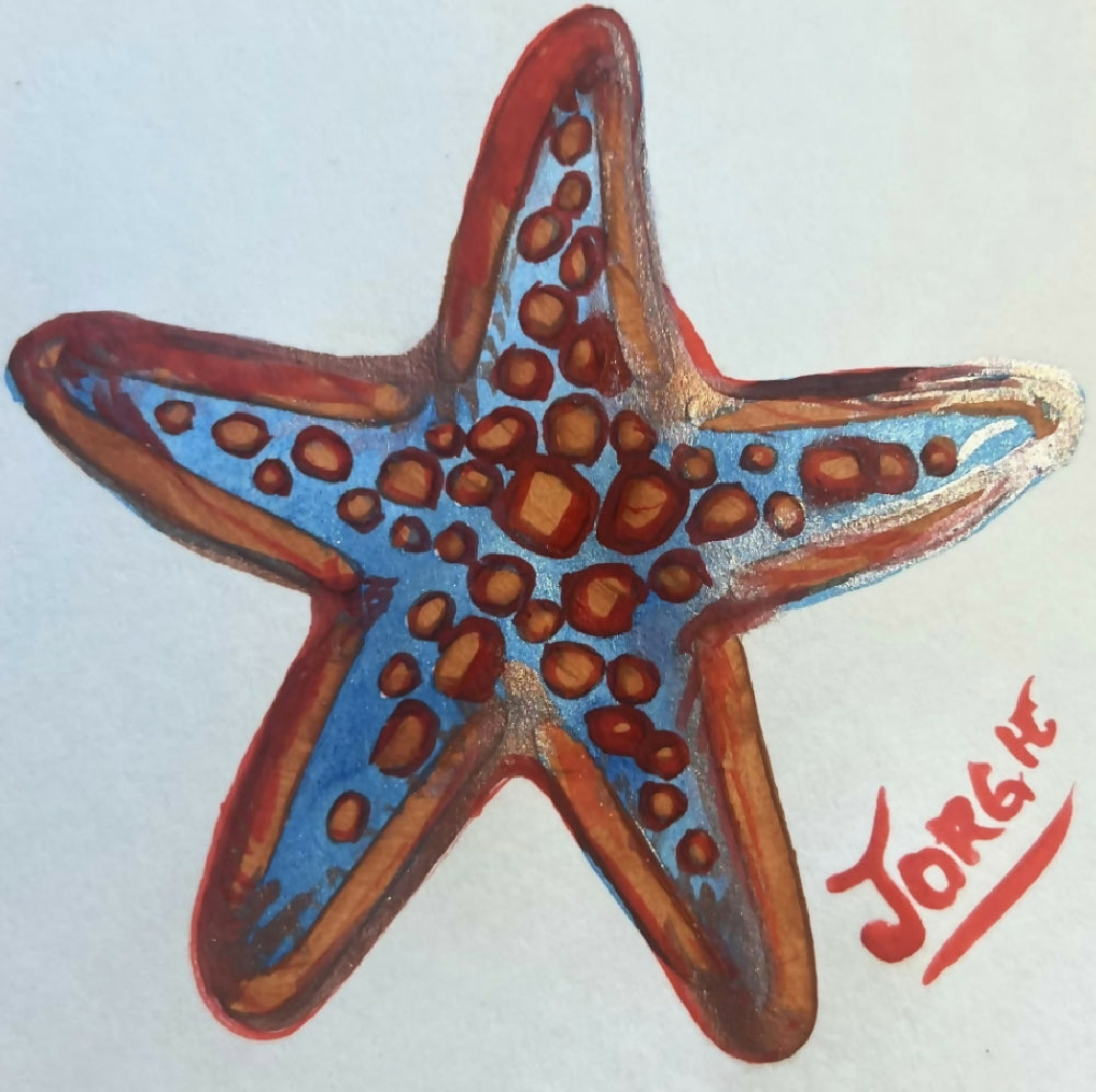 Little starfish watercolor framed