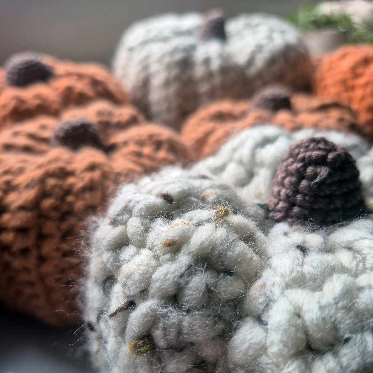 PUMPKIN MAGIC | Brown Freckled Cream