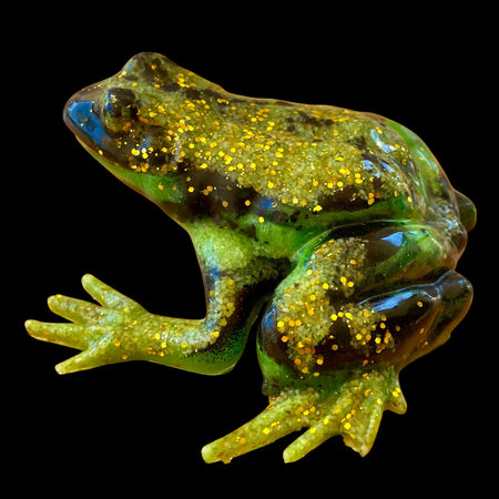 Green and Black Dart Frog