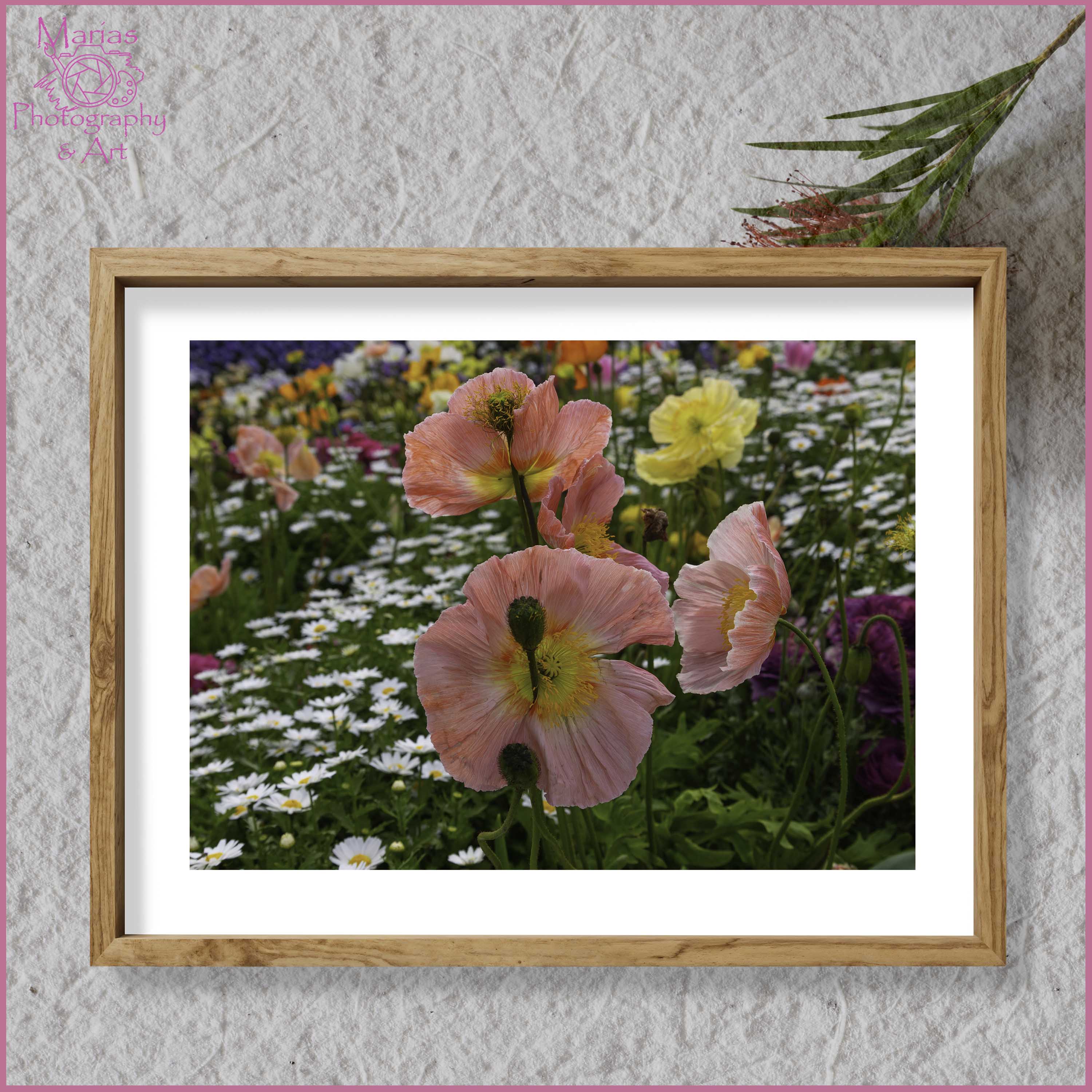 Photographic Print | Wall Art | Flowers