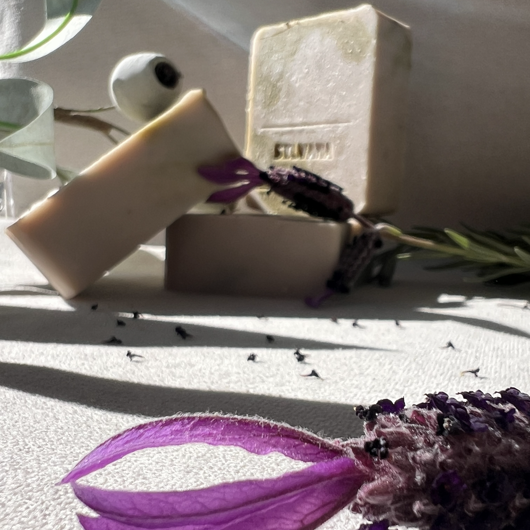 Australian collection | Lavender Gum