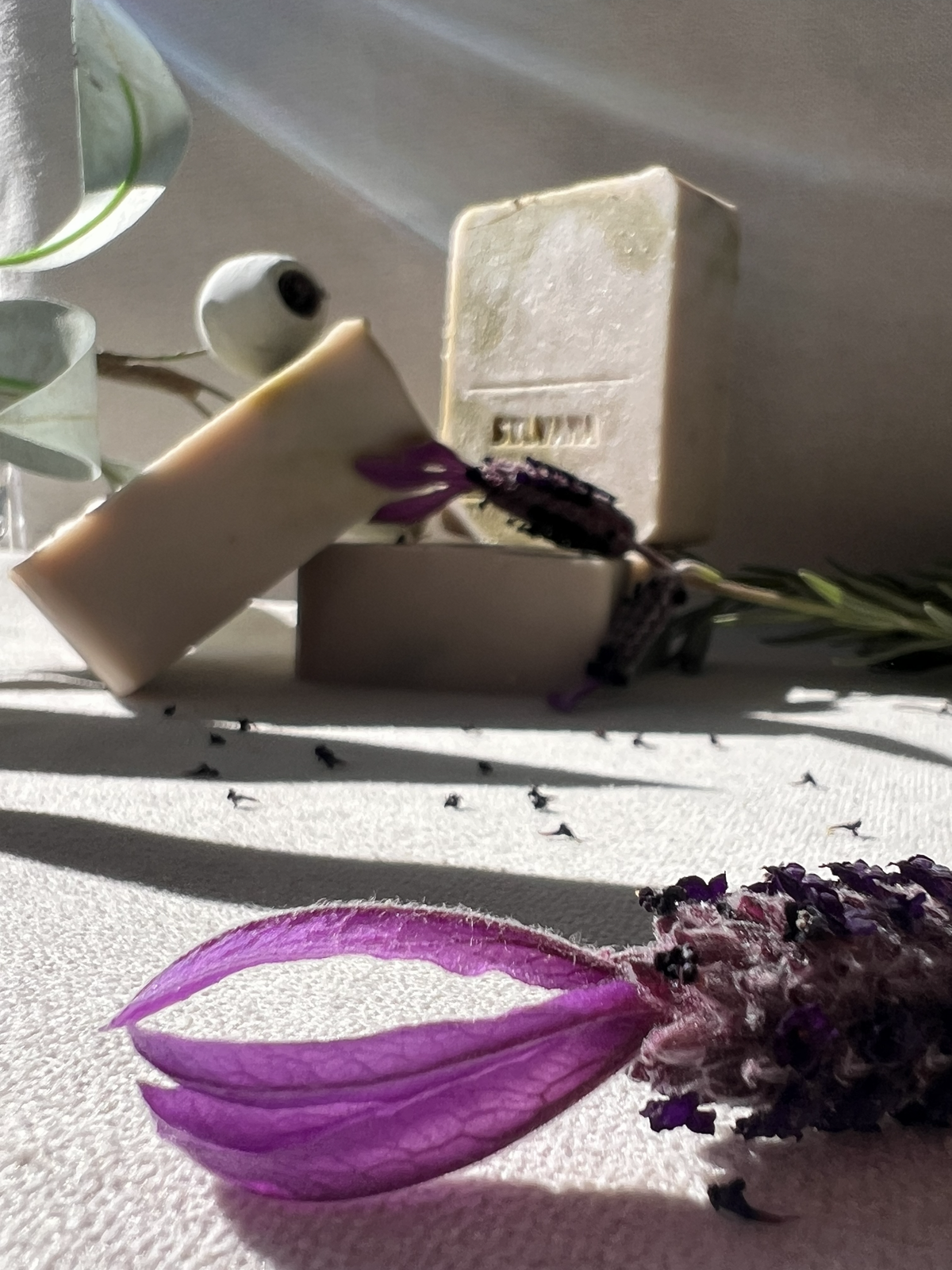 Australian collection | Lavender Gum