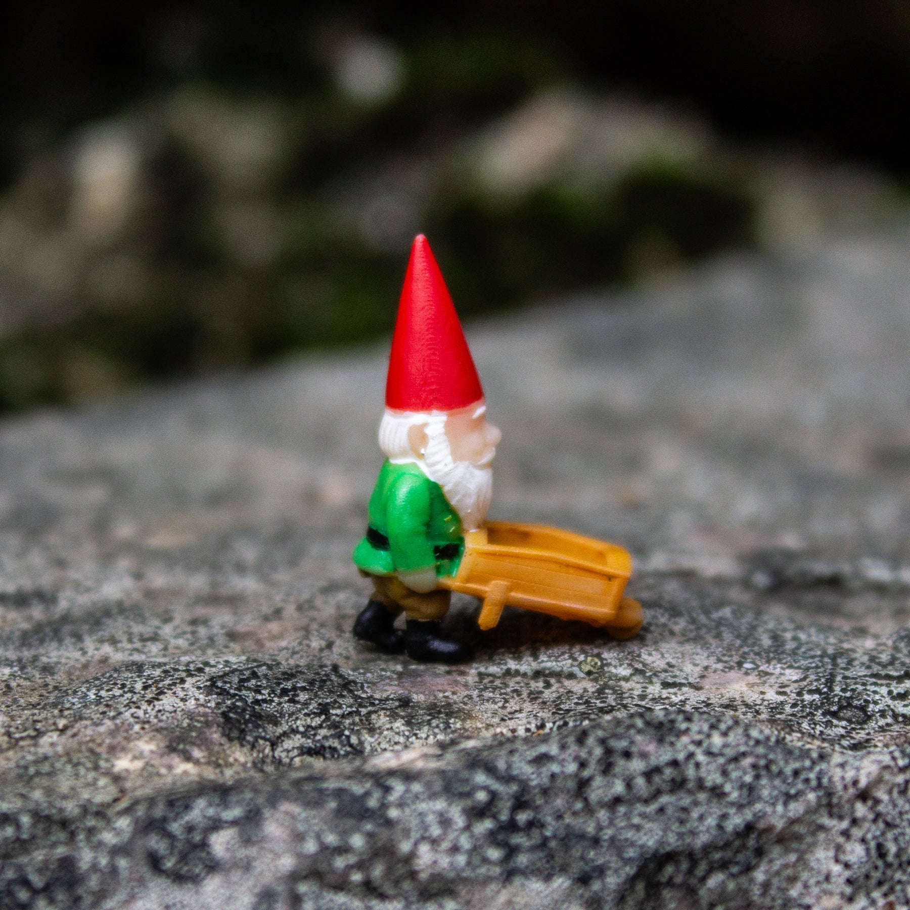 Tiny Gnome; The Gardener