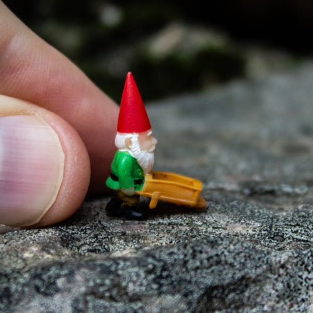 Tiny Gnome; The Gardener