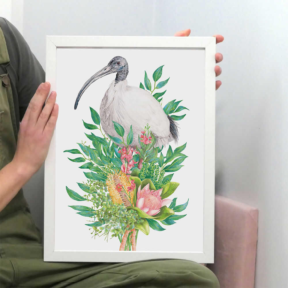Australian White Ibis (Bin Chicken) Art Print