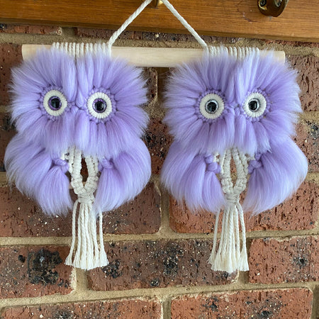 Macrame Twin Owl Wall Hanging