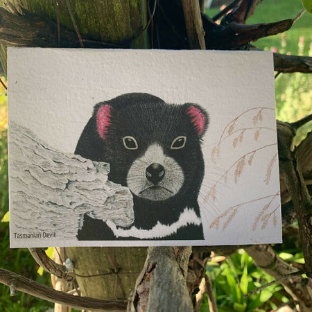 Tasmanian Devil Illustrated Seeded Paper Greeting Card