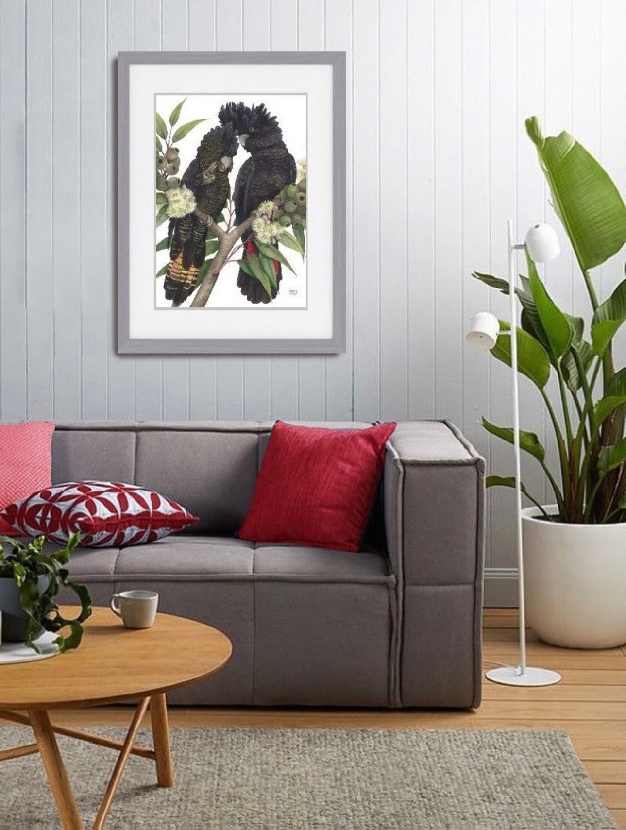 Red-Tailed Black Cockatoo pair art print by Debra Meier Art