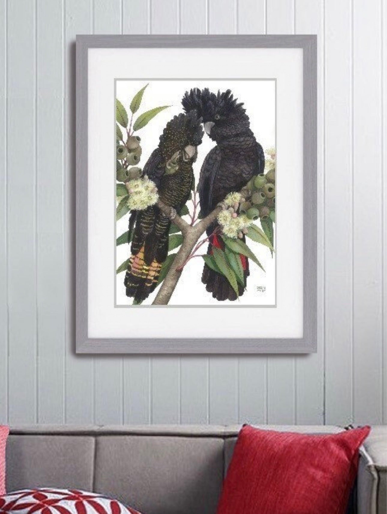 Red-Tailed Black Cockatoo pair art print by Debra Meier Art