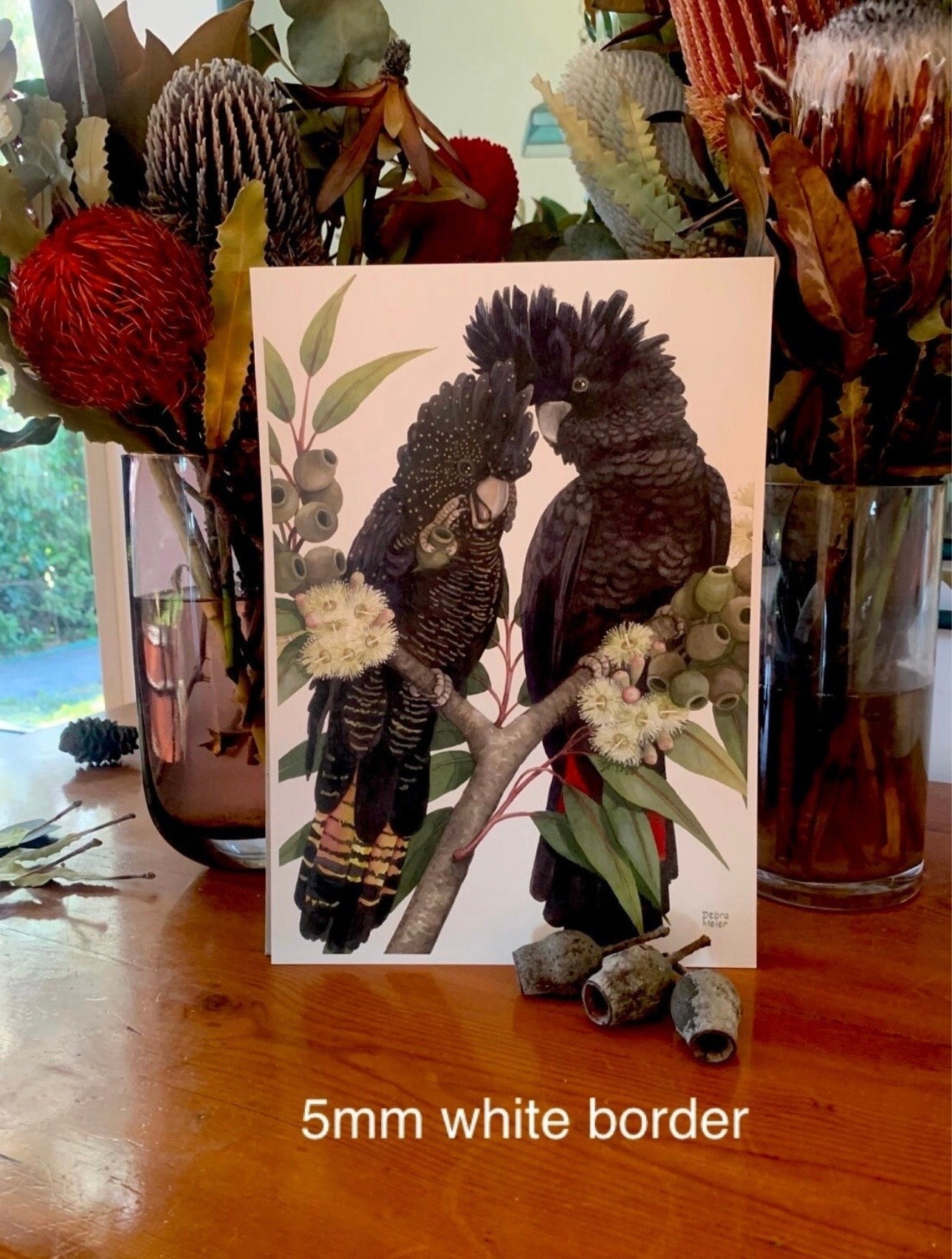Red-Tailed Black Cockatoo pair art print by Debra Meier Art