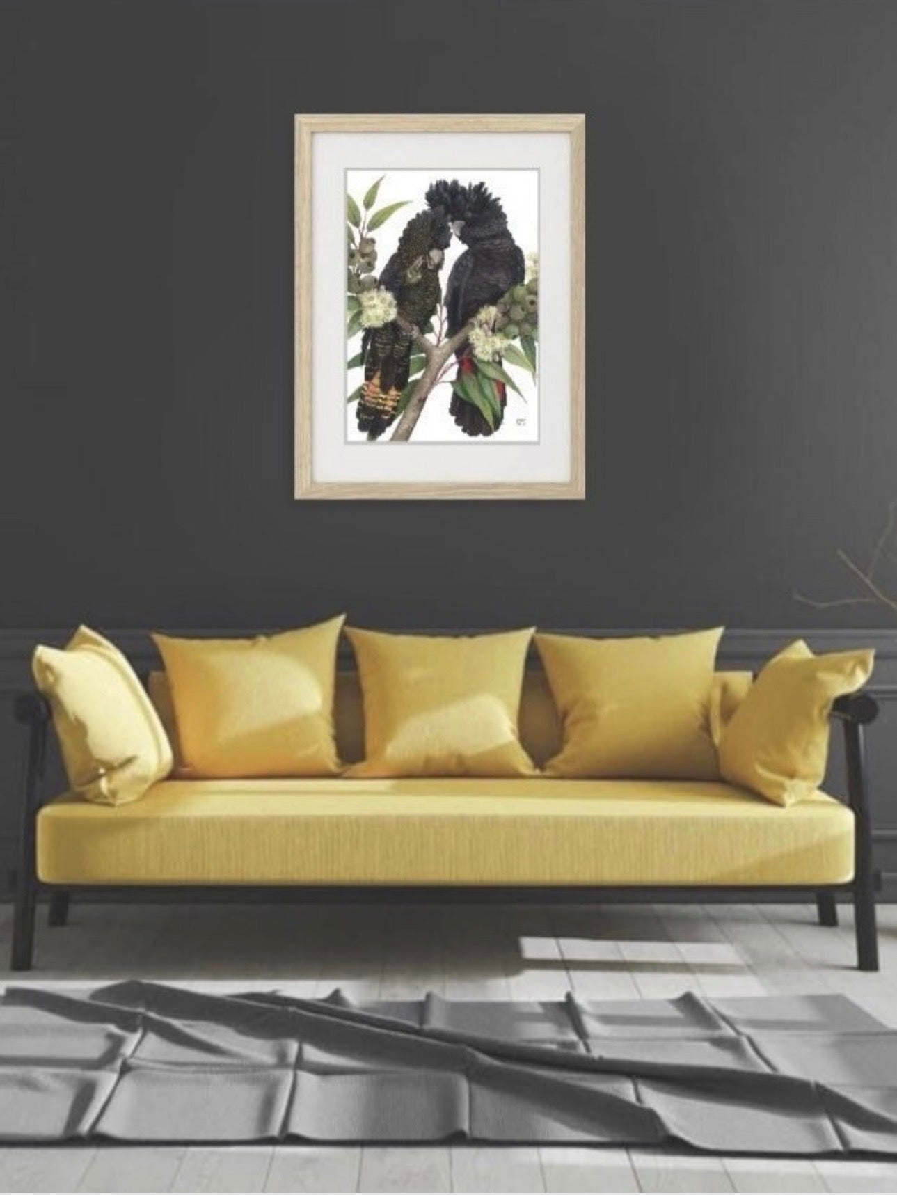Red-Tailed Black Cockatoo pair art print by Debra Meier Art