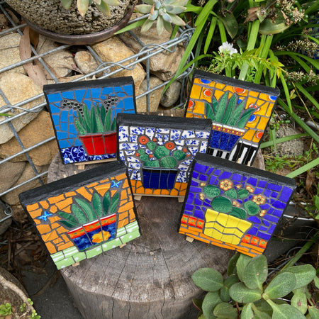 Mini Mosaic Artwork - Upcycled Crockery - Cacti - Snake Plants