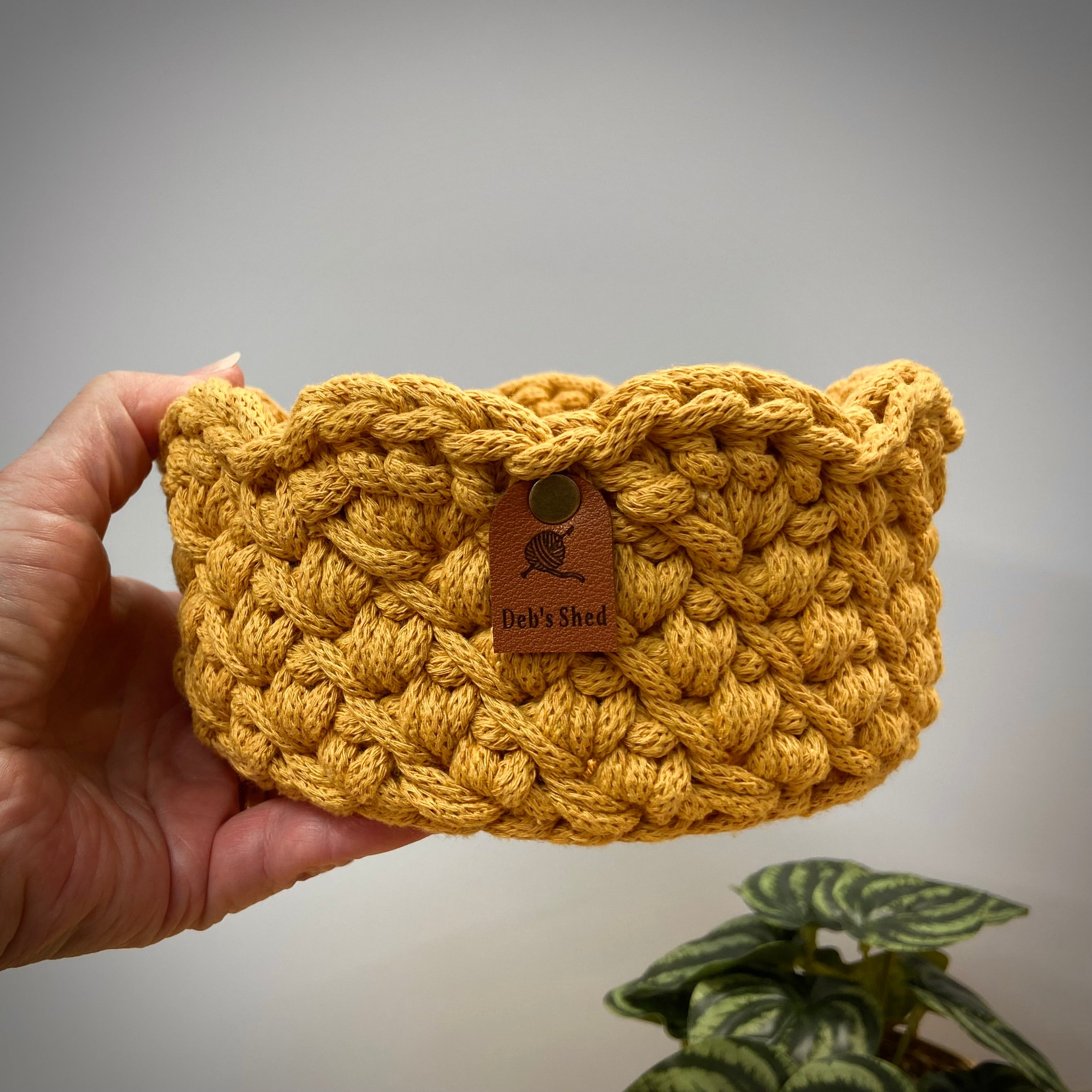 Crochet Basket with Scallop Edge