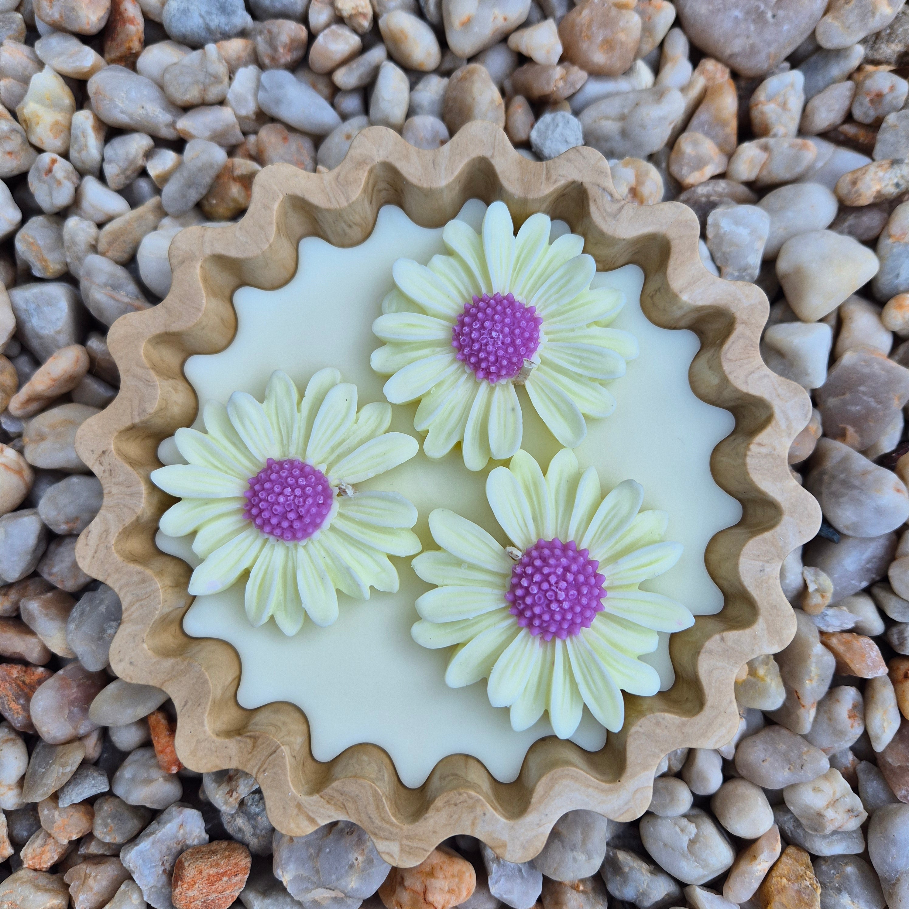 Eco-concrete daisy bowl candle with rose and lavender