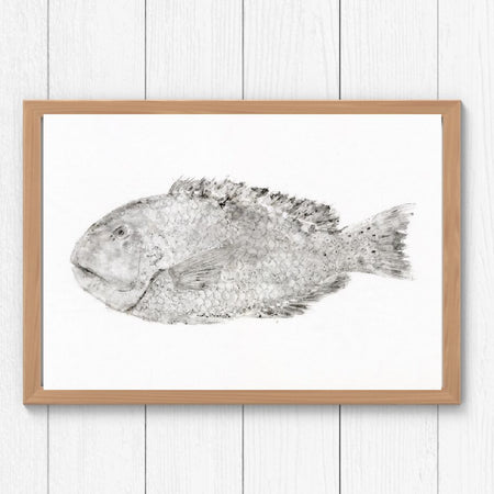 Gyotaku Fish Print Wall Art - Tusk Fish
