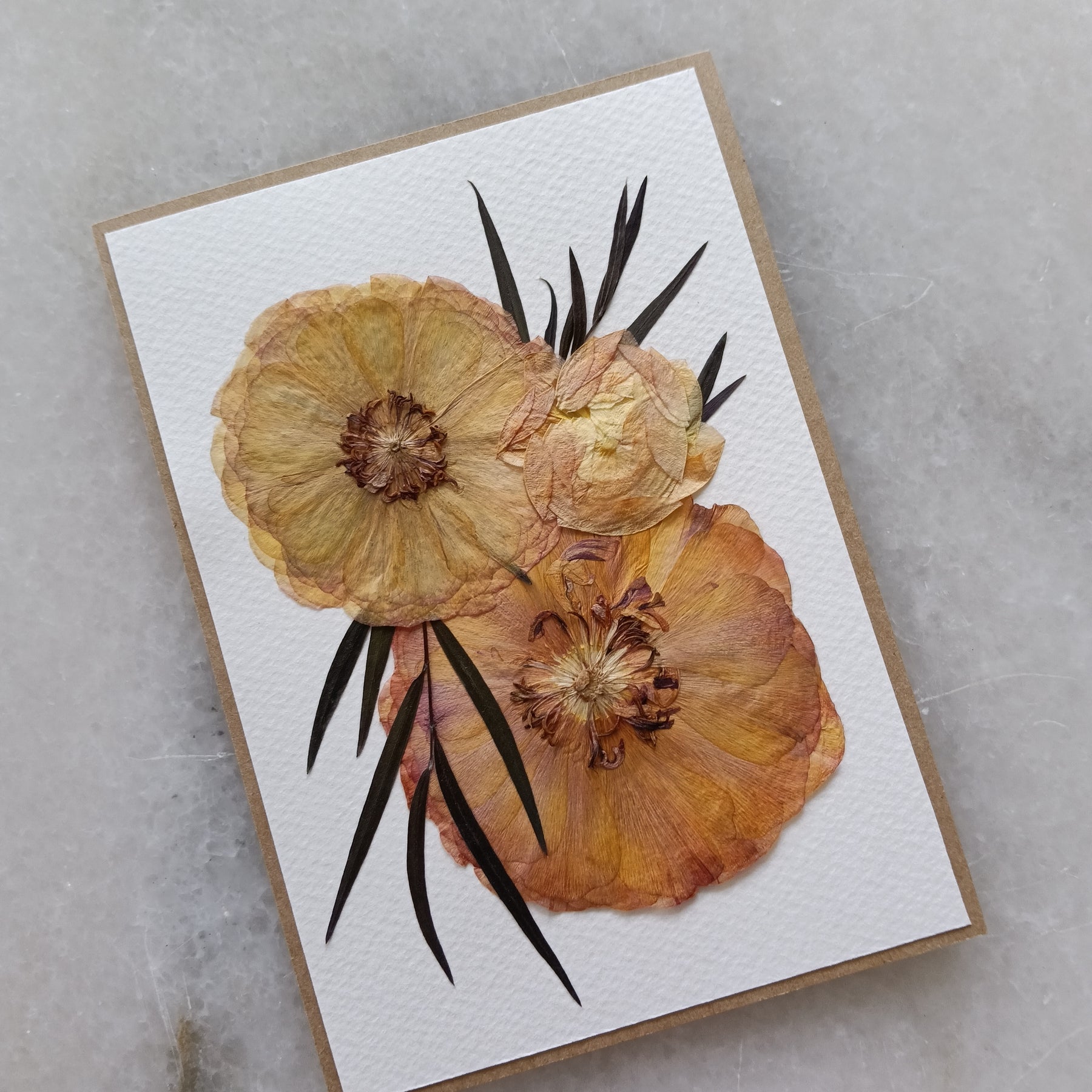 Radiant Ranunculus | Pressed Flower Handmade Card